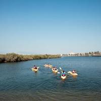 One Bedroom Tent - Adventure Package (Birds of Prey Center & Mangroves Kayaking Tour)