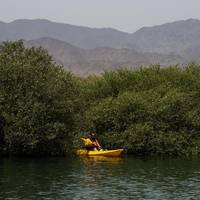 Three Bedroom Tent - Adventure Package (Birds of Prey Center & Mangroves Kayaking Tour)
