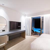 Dazzling Blue Plunge Pool