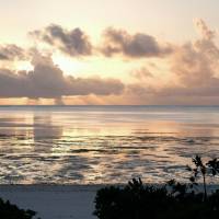 Bungalow - Beach Front