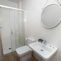 Room #333186714