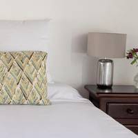 Room #241299317