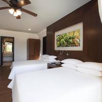 Deluxe Tropical View 2-double beds