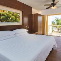 Deluxe Tropical View 1-king bed