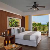 Deluxe Ocean View 1-king bed