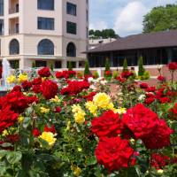 Superior Double or Twin Room with Garden View