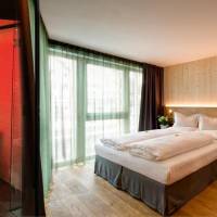Premium Double or Twin Room with Sauna