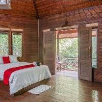 Room #521660611