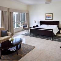 One-Bedroom Suite with City View