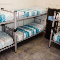 Bed in 6-Bed Mixed Dormitory Room