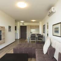 Superior One-Bedroom Apartment with Sea View