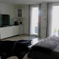 Superior Double Room with Lake View