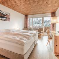 Double Room with Balcony and Panorama View
