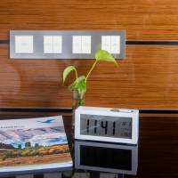 Deluxe Double or Twin Room with City View