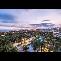 Room #30561245