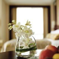 Horizon Deluxe King Room（Enjoy minibar for free during the first night,until Dec 31st of 2021 ）