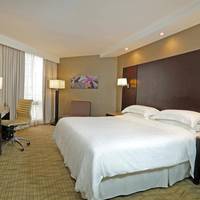 Deluxe, Guest room, 1 King, City view