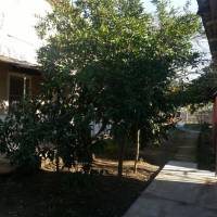 Triple Room with Garden View
