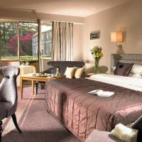 Room #23029215