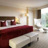 Room #23167432