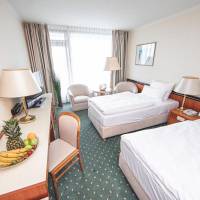 Comfort Single Room