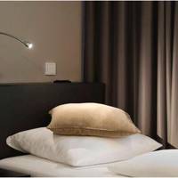 Room #24216140