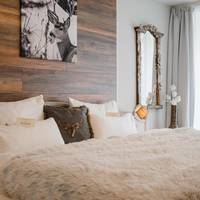 Comfort Plus Double Room