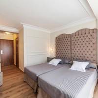 Double or Twin Room with Terrace