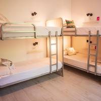 Bed in 6-Bed Mixed Dormitory Room