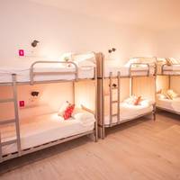 Bed in 8-Bed Female Dormitory Room