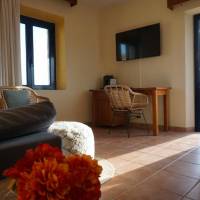 Junior Suite with Terrace