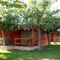 Deluxe Bungalow