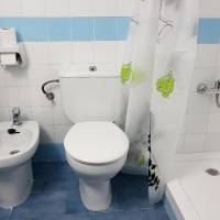 Room #9166406