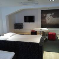 Junior Suite with Sauna and Extra Bed