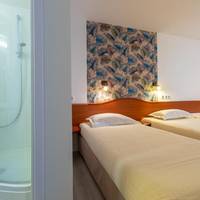 Standard Triple Room (3 single beds)