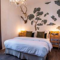 Deluxe Double or Twin Room with Balcony
