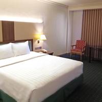 Deluxe Premier Room