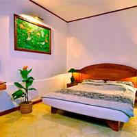Executive Double or Twin Room with Garden View