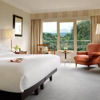 Executive King Room