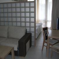 One-Bedroom Apartment (SATIN)