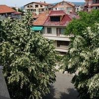 Single Room with Balcony