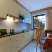 One-Bedroom Apartment with Mountain View (2 Adults)