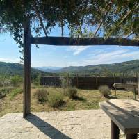 Double Room with Patio