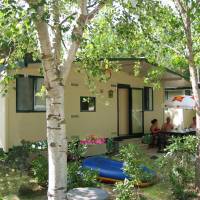 Standard Bungalow