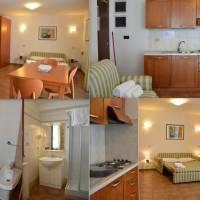 Studio with Mountain View (3 Adults)