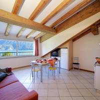 One-Bedroom Apartment with Lake View - Attic