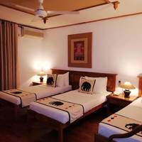Deluxe Triple Room with Pickup or Drop to Kandy Station 