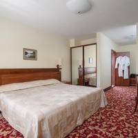 Double or Twin Room with Sauna and Jacuzzi access