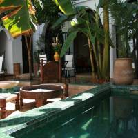 Superior Double Room - Cumin Jardin