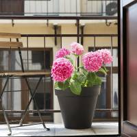 One-Bedroom Apartment with Courtyard View - 23 Sławkowska Street